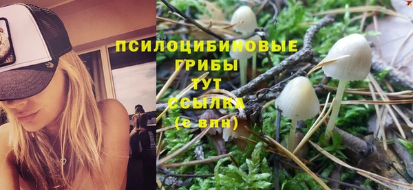шишки Алексин