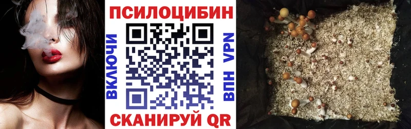 Псилоцибиновые грибы прущие грибы Североморск