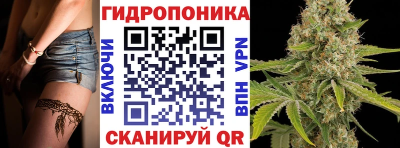 blacksprut маркетплейс  Североморск  Каннабис планчик 